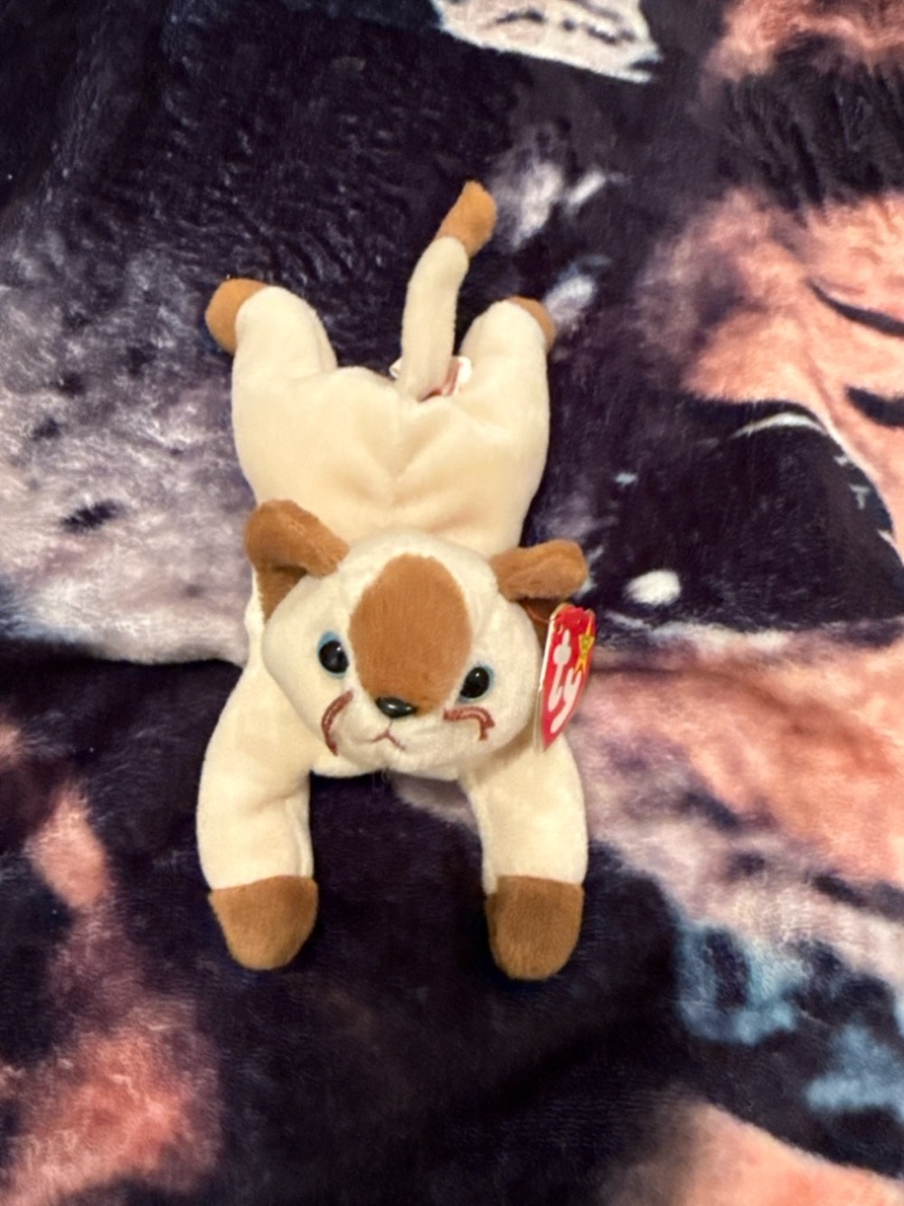 Ty Beanie Baby Snip the Siamese Cat Plush w/ Tag Retired Vintage